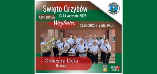 grafika ze zdjęciem Orkiestry Dętej z Iłowej