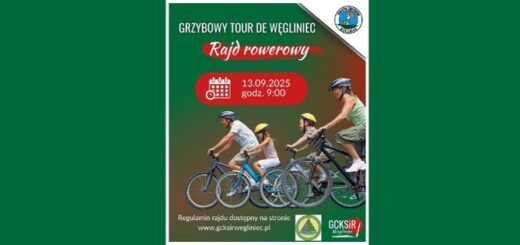 Grafika Grzybowy Tour de Węgliniec