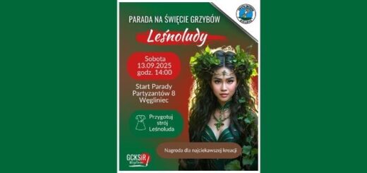 Grafika Parada Grzybowa tematem "Leśnoludy"