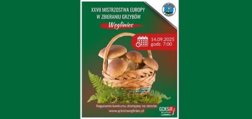 Grafika koszyk z grzybami