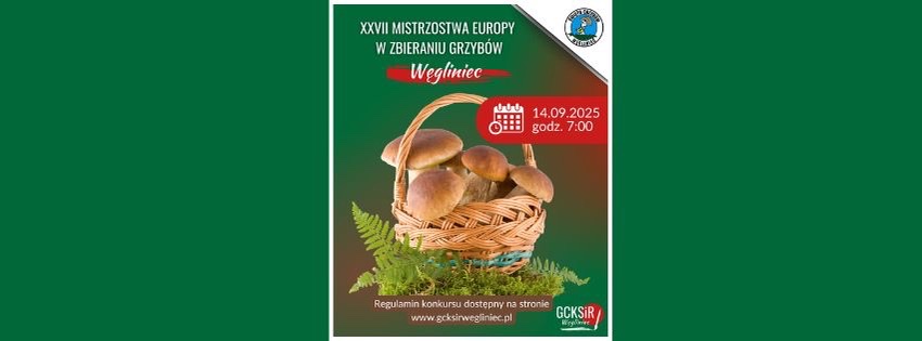 Grafika koszyk z grzybami